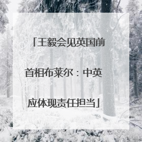 王毅会见英国前首相布莱尔：中英应体现责任担当