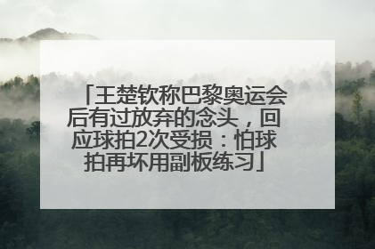 王楚钦称巴黎奥运会后有过放弃的念头，回应球拍2次受损：怕球拍再坏用副板练习