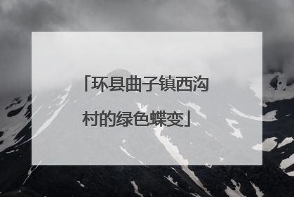 环县曲子镇西沟村的绿色蝶变