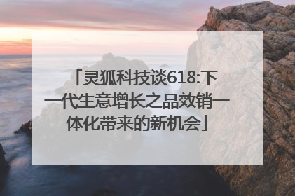 灵狐科技谈618:下一代生意增长之品效销一体化带来的新机会