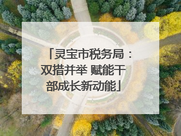 灵宝市税务局：双措并举 赋能干部成长新动能