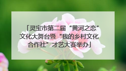 灵宝市第二届“黄河之恋”文化大舞台暨“我的乡村文化合作社”才艺大赛举办