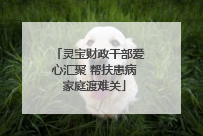 灵宝财政干部爱心汇聚 帮扶患病家庭渡难关