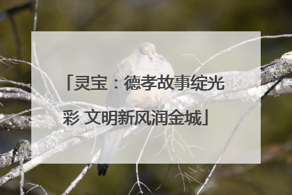 灵宝：德孝故事绽光彩 文明新风润金城