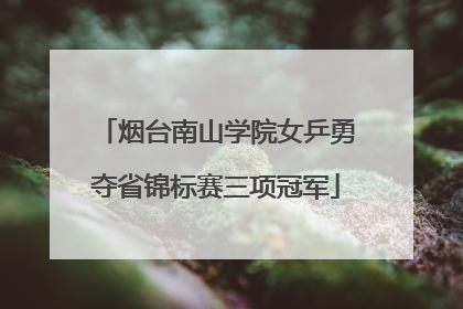 烟台南山学院女乒勇夺省锦标赛三项冠军