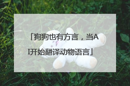 狗狗也有方言，当AI开始翻译动物语言