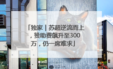 独家｜苏超逆流而上，赞助费飙升至300万，仍一席难求