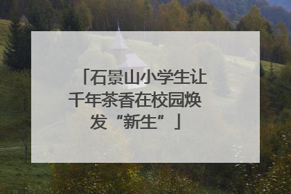 石景山小学生让千年茶香在校园焕发“新生”