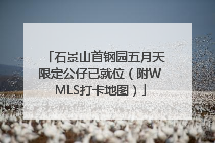 石景山首钢园五月天限定公仔已就位（附WMLS打卡地图）