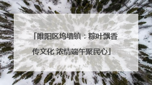 睢阳区坞墙镇：粽叶飘香传文化 浓情端午聚民心
