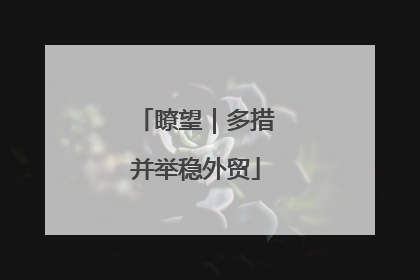 瞭望｜多措并举稳外贸