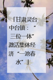 甘肃灵台中台镇：“三位一体”激活集体经济“一池春水”