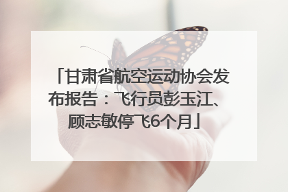 甘肃省航空运动协会发布报告：飞行员彭玉江、顾志敏停飞6个月
