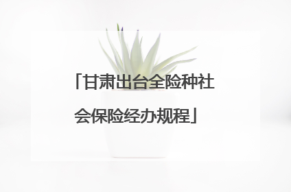 甘肃出台全险种社会保险经办规程