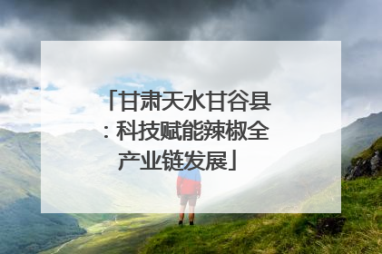 甘肃天水甘谷县：科技赋能辣椒全产业链发展
