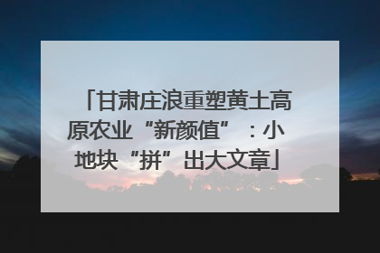 甘肃庄浪重塑黄土高原农业“新颜值”：小地块“拼”出大文章
