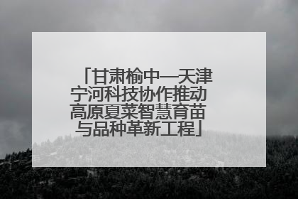 甘肃榆中—天津宁河科技协作推动高原夏菜智慧育苗与品种革新工程
