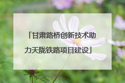 甘肃路桥创新技术助力天陇铁路项目建设