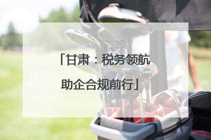 甘肃：税务领航 助企合规前行