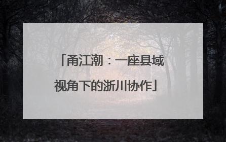 甬江潮：一座县域视角下的浙川协作