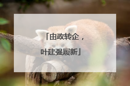 由政转企，叶建强履新