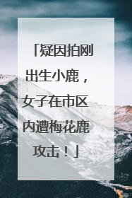 疑因拍刚出生小鹿，女子在市区内遭梅花鹿攻击！