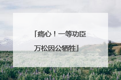 痛心！一等功臣万松因公牺牲