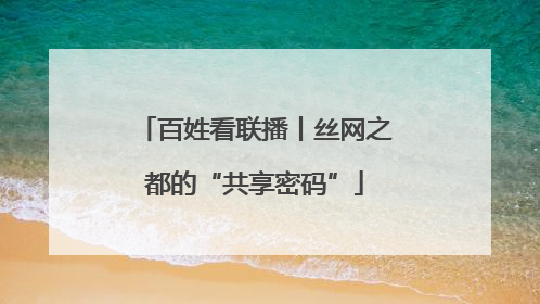百姓看联播丨丝网之都的“共享密码”