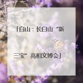 白山：长白山“新三宝”亮相文博会