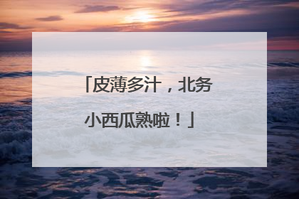 皮薄多汁，北务小西瓜熟啦！