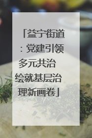 益宁街道：党建引领多元共治 绘就基层治理新画卷