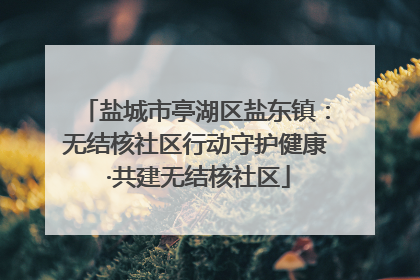 盐城市亭湖区盐东镇：无结核社区行动守护健康 ·共建无结核社区