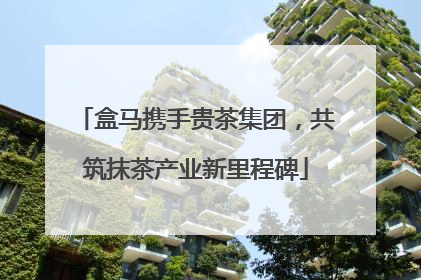盒马携手贵茶集团，共筑抹茶产业新里程碑