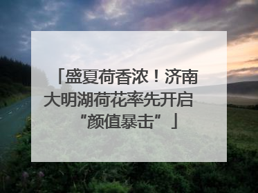 盛夏荷香浓！济南大明湖荷花率先开启“颜值暴击”