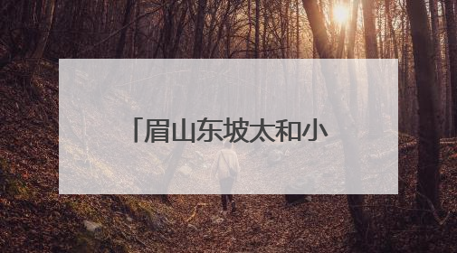 眉山东坡太和小学让安全知识在学生心里深深扎根