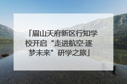 眉山天府新区行知学校开启“走进航空·逐梦未来”研学之旅