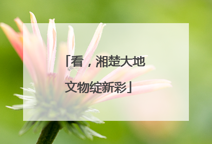 看，湘楚大地文物绽新彩