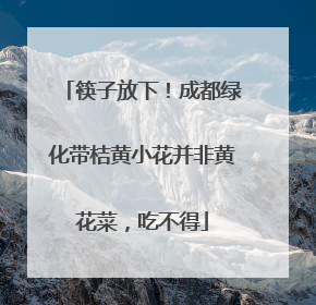 筷子放下！成都绿化带桔黄小花并非黄花菜，吃不得