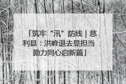 筑牢“汛”防线｜慈利县：洪峰退去显担当 勠力同心启新篇