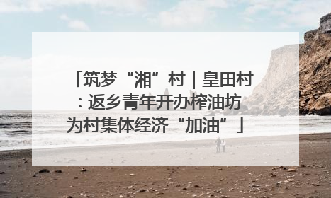 筑梦“湘”村｜皇田村：返乡青年开办榨油坊 为村集体经济“加油”