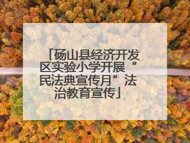 砀山县经济开发区实验小学开展“民法典宣传月”法治教育宣传