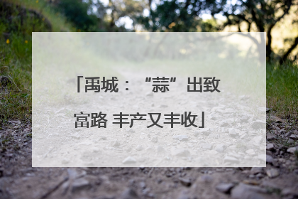 禹城：“蒜”出致富路 丰产又丰收