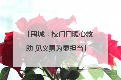 禹城：校门口暖心救助 见义勇为显担当