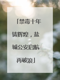 禁毒十年铸辉煌，盐城公安启航再破浪