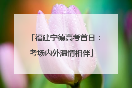 福建宁德高考首日：考场内外温情相伴