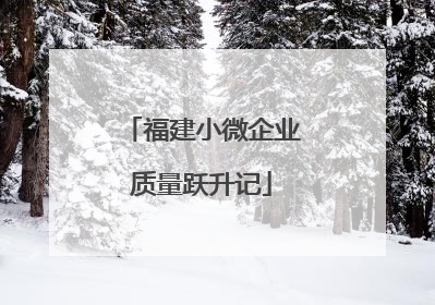 福建小微企业质量跃升记