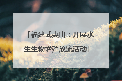 福建武夷山：开展水生生物增殖放流活动