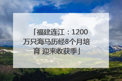福建连江：1200万只海马历经8个月培育 迎来收获季