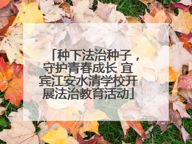 种下法治种子，守护青春成长 宜宾江安水清学校开展法治教育活动