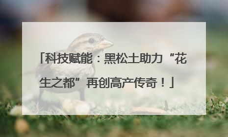 科技赋能：黑松土助力“花生之都”再创高产传奇！